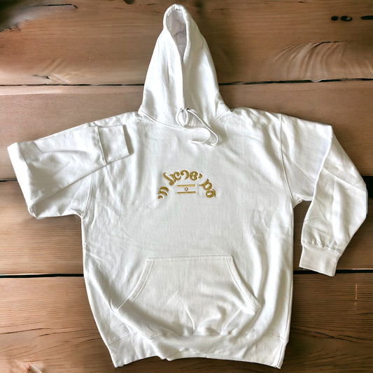 Am Israel chai עם ישראל חי embroidered appliqué hoodie