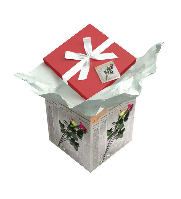 LES ROSES BOX 10"X10"X10" GIFT BOX