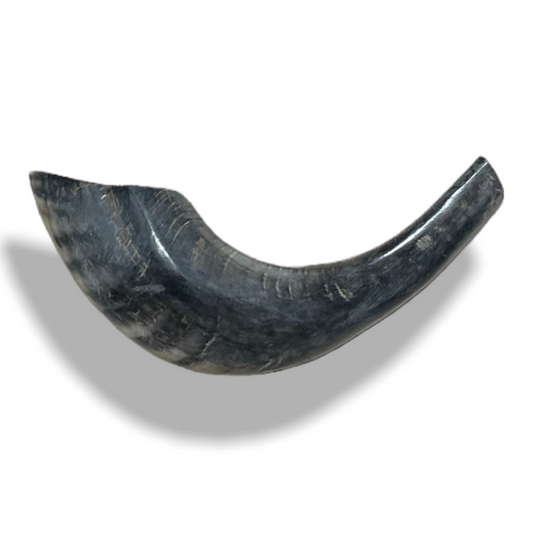 Wooden Shofar