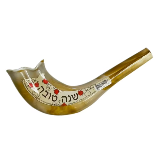 Pomegranate Shofar