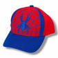Kids Spider Web Baseball Cap | Red Blue Embroidered Spider Youth Snapback Hat