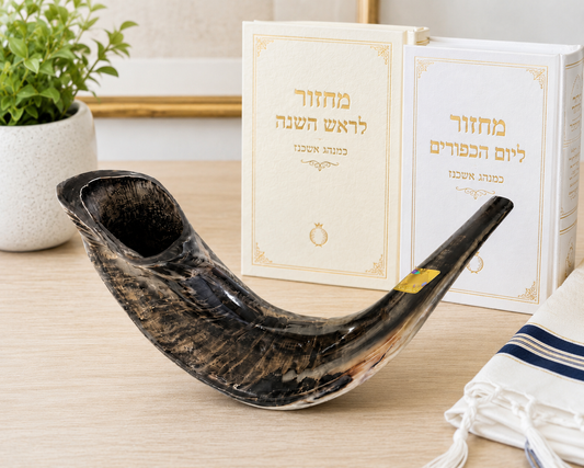 Shofar – Rabbi Mahfoud Kashrut Certified | High Polish Style Shofar for Rosh Hashanah