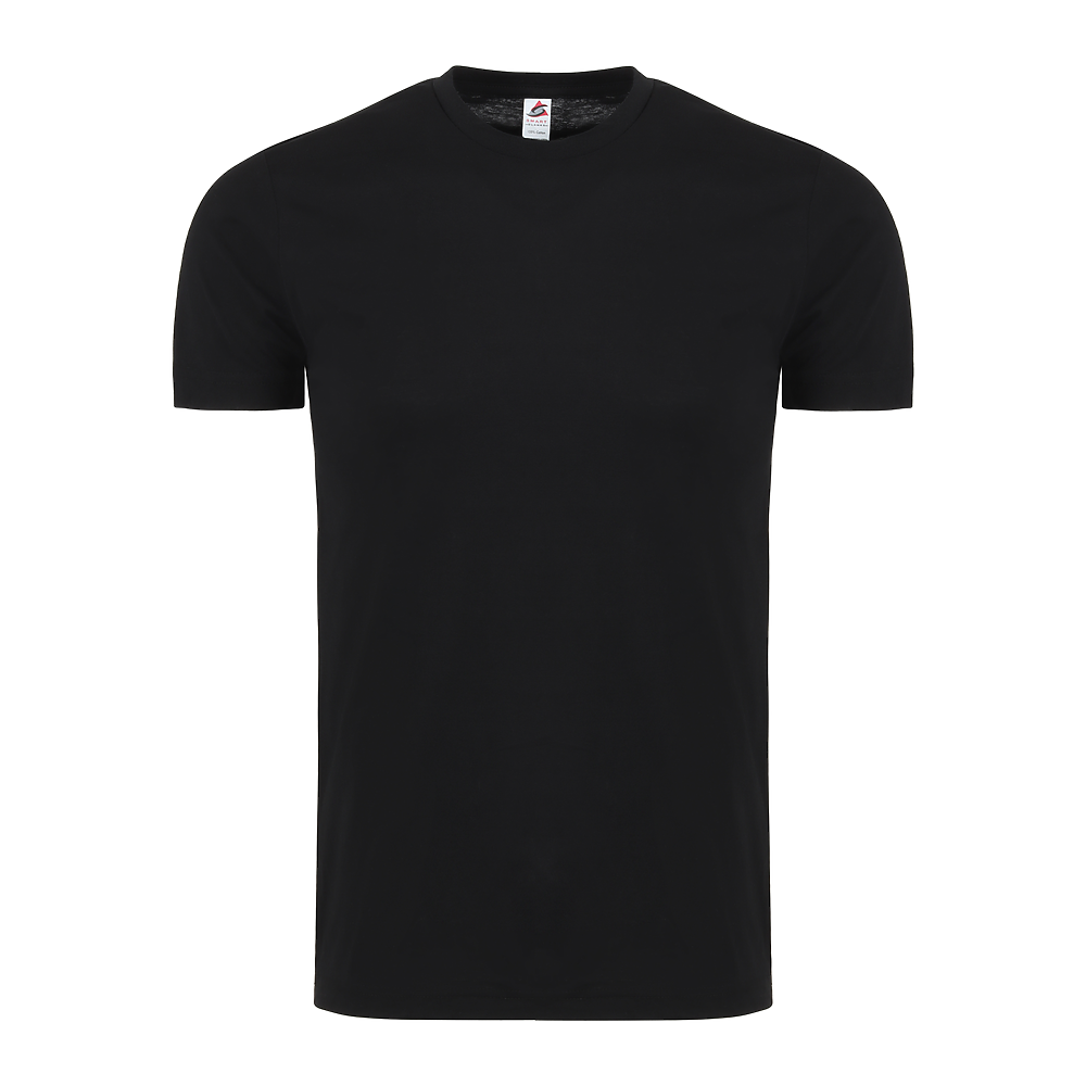 Plain Smart Blanks 501 T-shirt, Black, front — garment only, no model