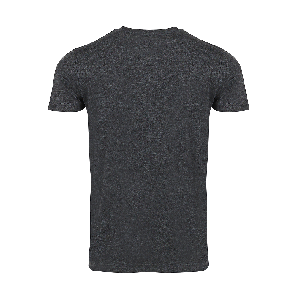 Plain Smart Blanks 501 T-shirt, Charcoal Heather, back — garment only, no model