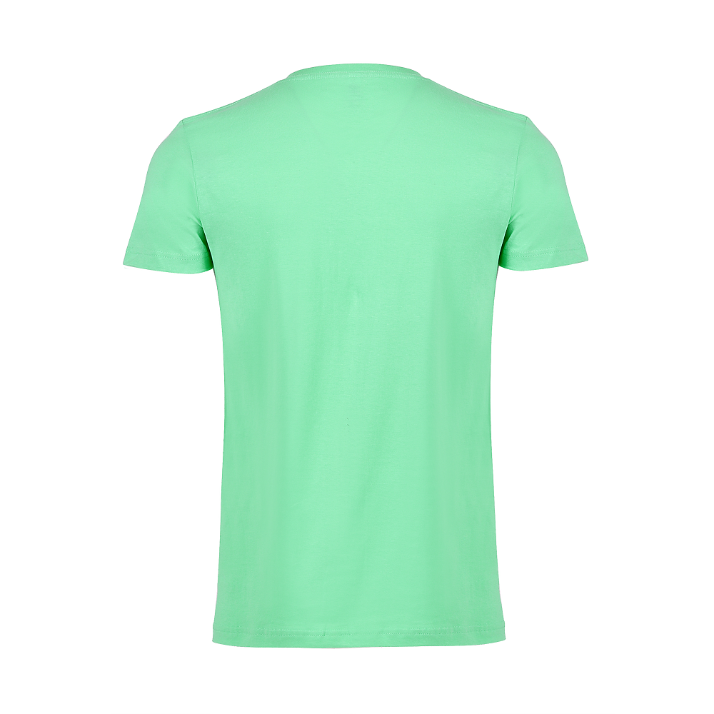 Plain Smart Blanks 501 T-shirt, Celadon, back — garment only, no model