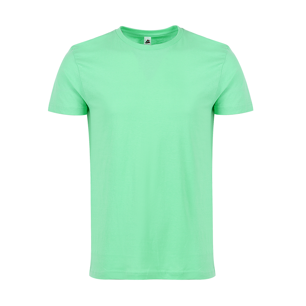Plain Smart Blanks 501 T-shirt, Celadon, front — garment only, no model