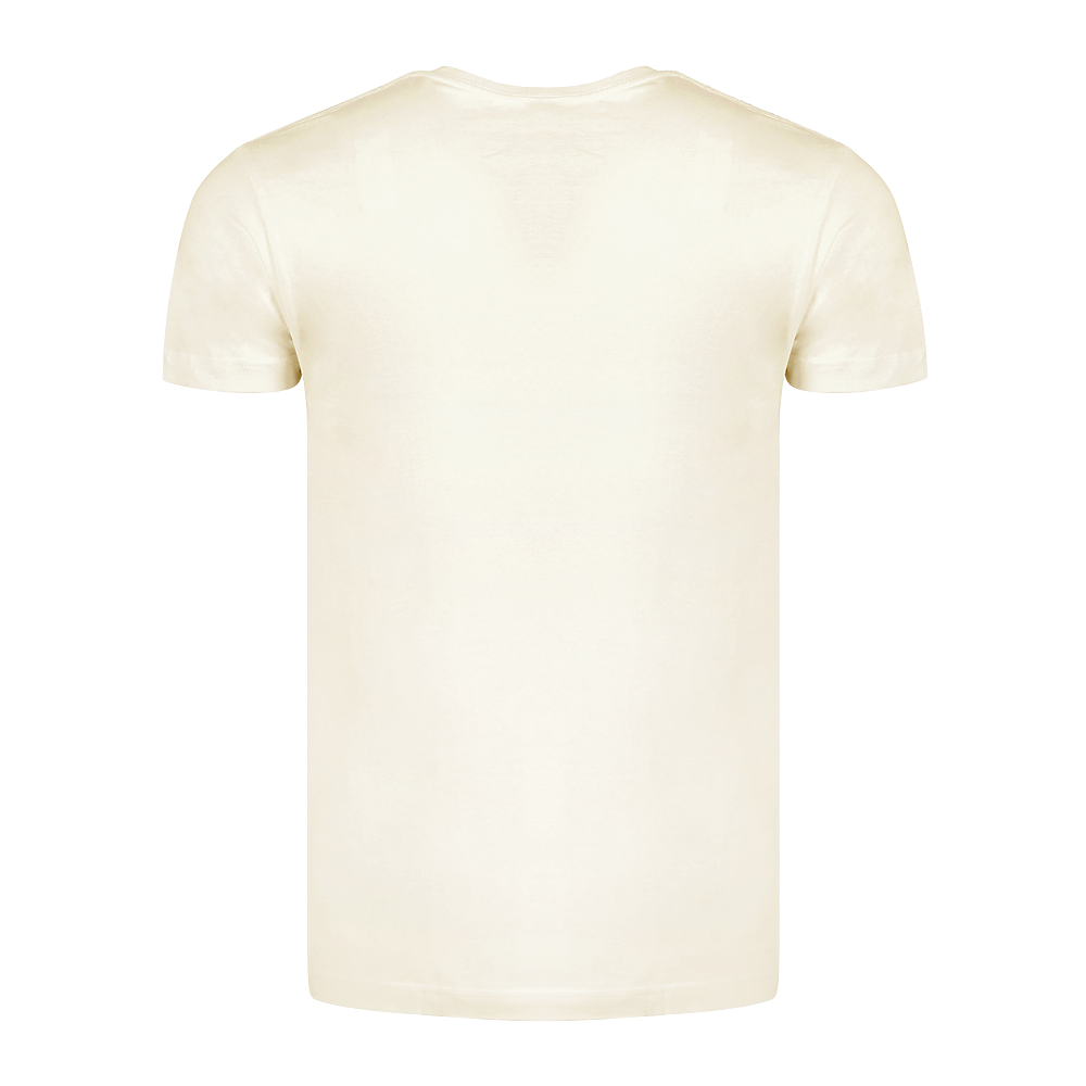Plain Smart Blanks 501 T-shirt, Cream, back — garment only, no model