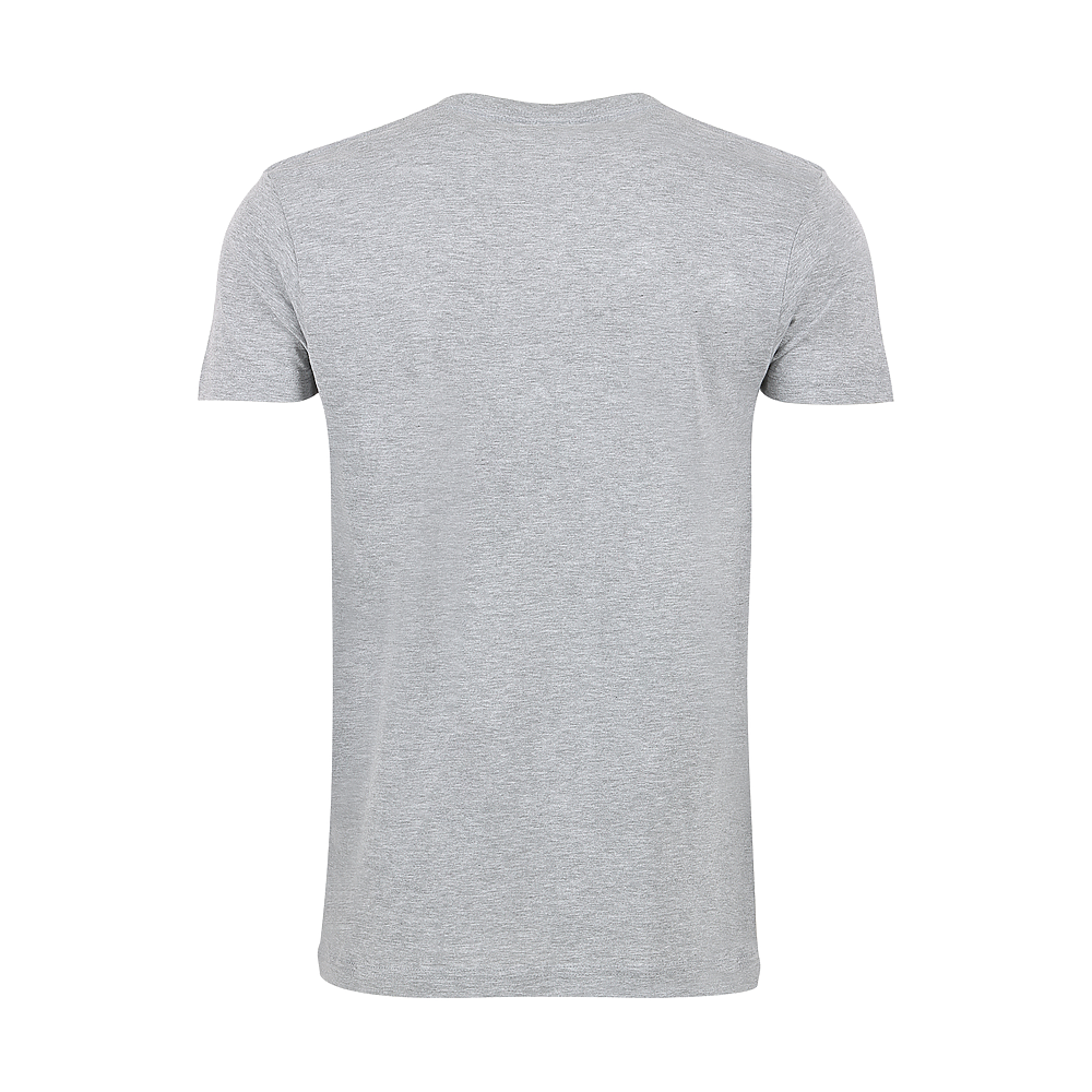 Plain Smart Blanks 501 T-shirt, Heather Grey, back — garment only, no model