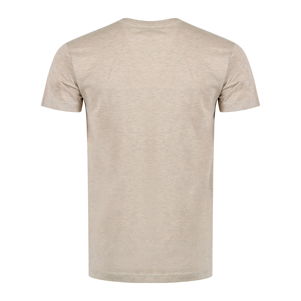 Plain Smart Blanks 501 T-shirt, Oatmeal Heather, back — garment only, no model