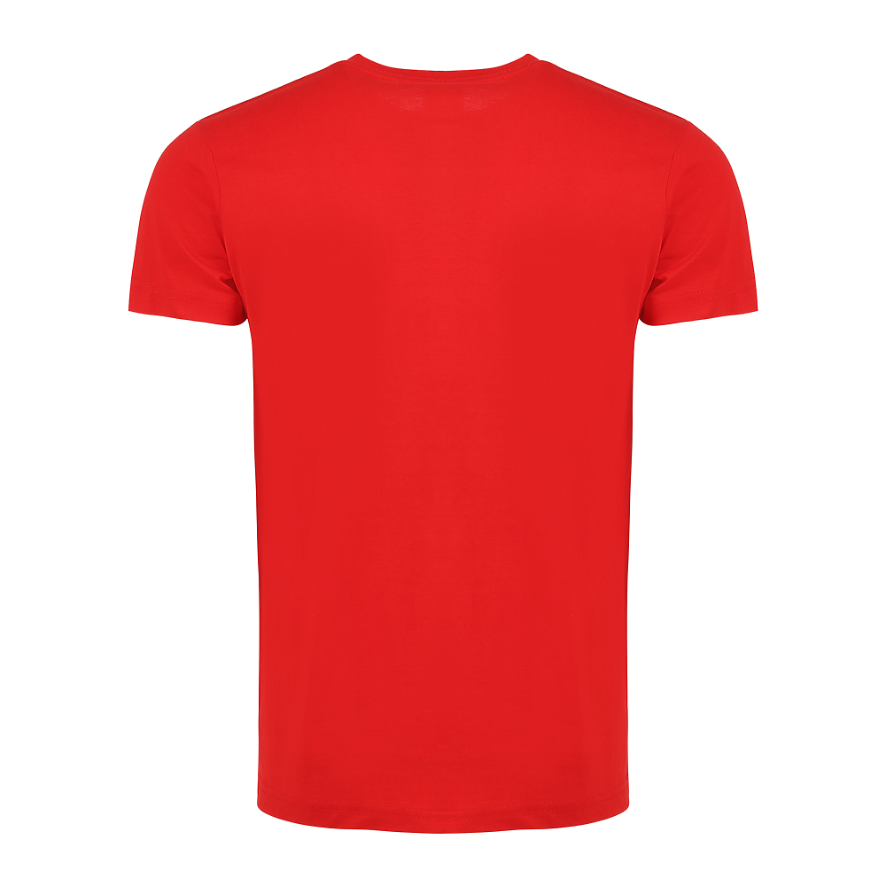 Plain Smart Blanks 501 T-shirt, Red, back — garment only, no model