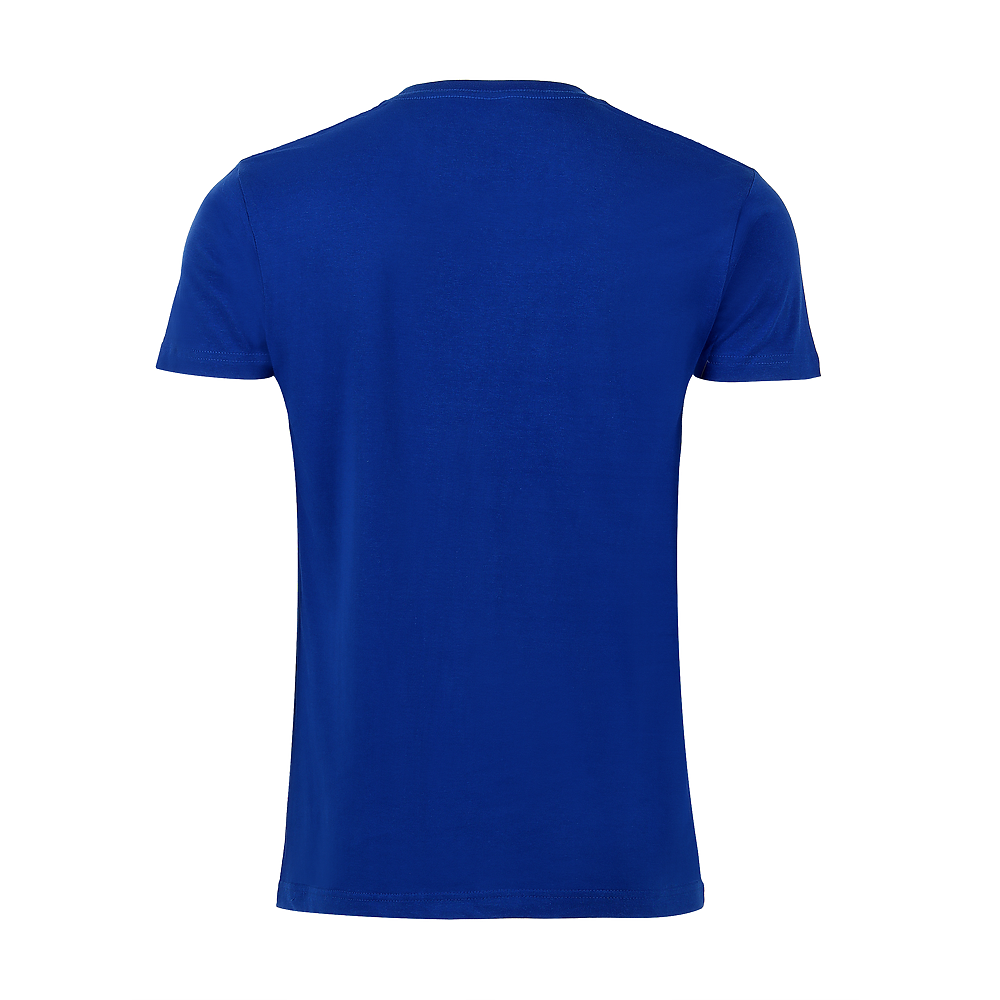 Plain Smart Blanks 501 T-shirt, Royal, back — garment only, no model