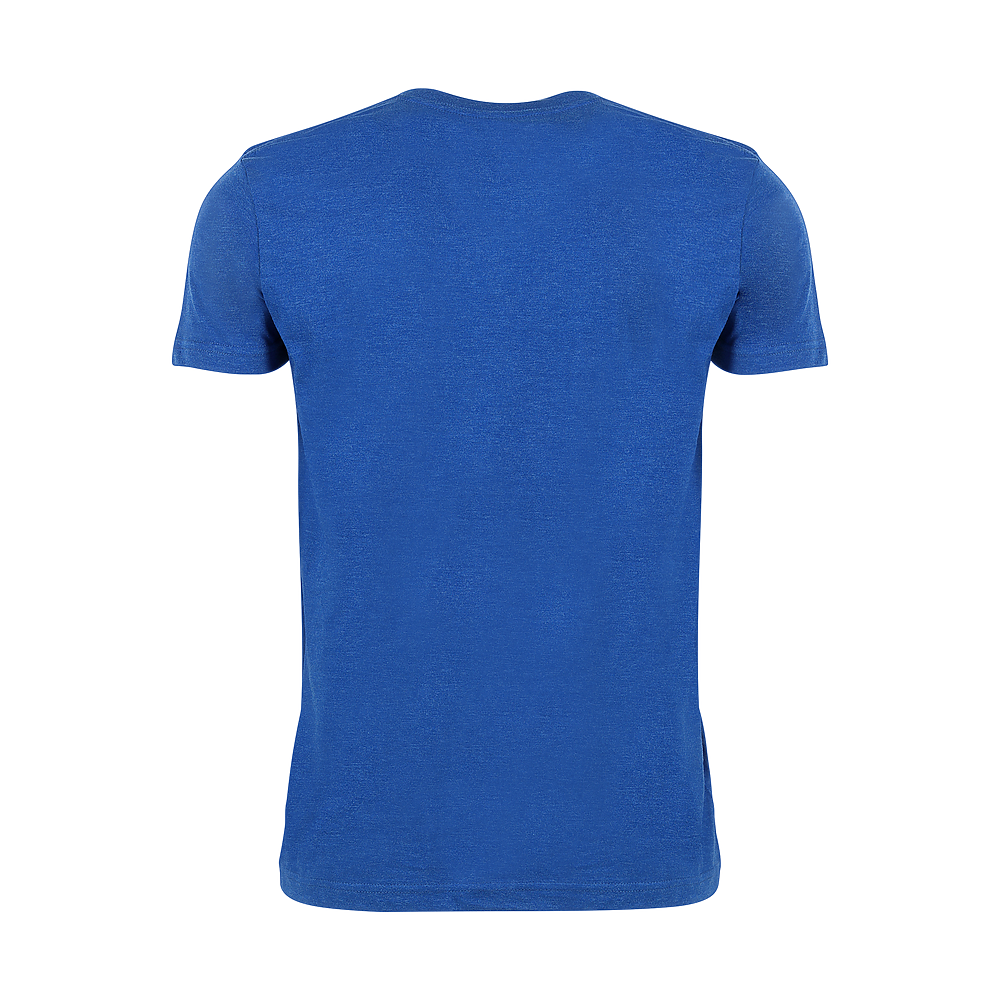 Plain Smart Blanks 501 T-shirt, Royal Heather, back — garment only, no model