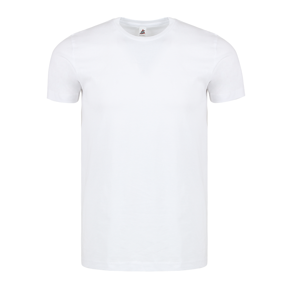 Plain Smart Blanks 501 T-shirt, White, front — garment only, no model