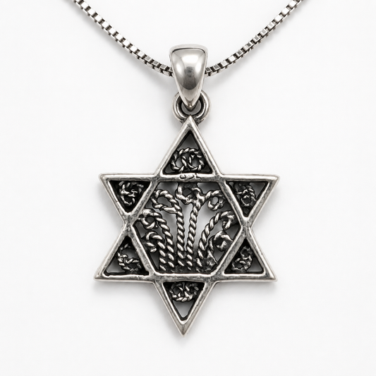 Menorah Star of David sterling silver women's necklace made in Israel