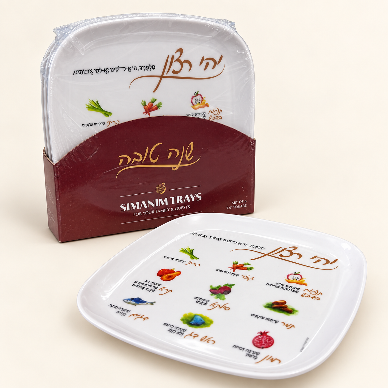 Reusable Simanim plate and package of six shown at an angle