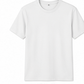 12 PACK OF ADULT EVERYDAY TEE 100% COTTON 12