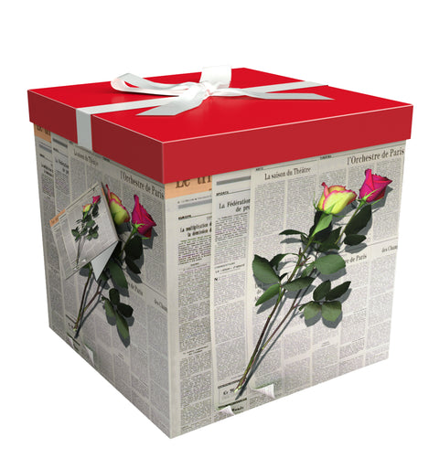 LES ROSES BOX 10"X10"X10" GIFT BOX